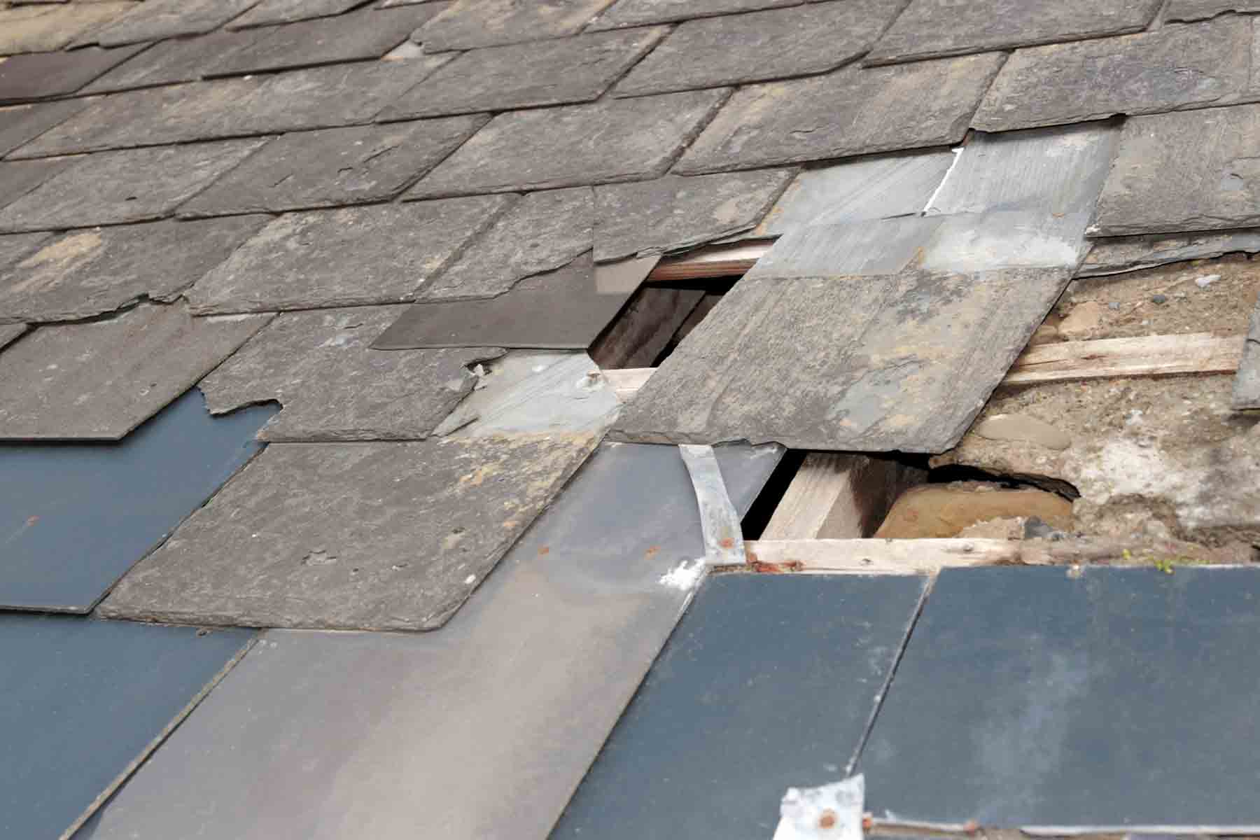 Common Causes of Roof Deterioration