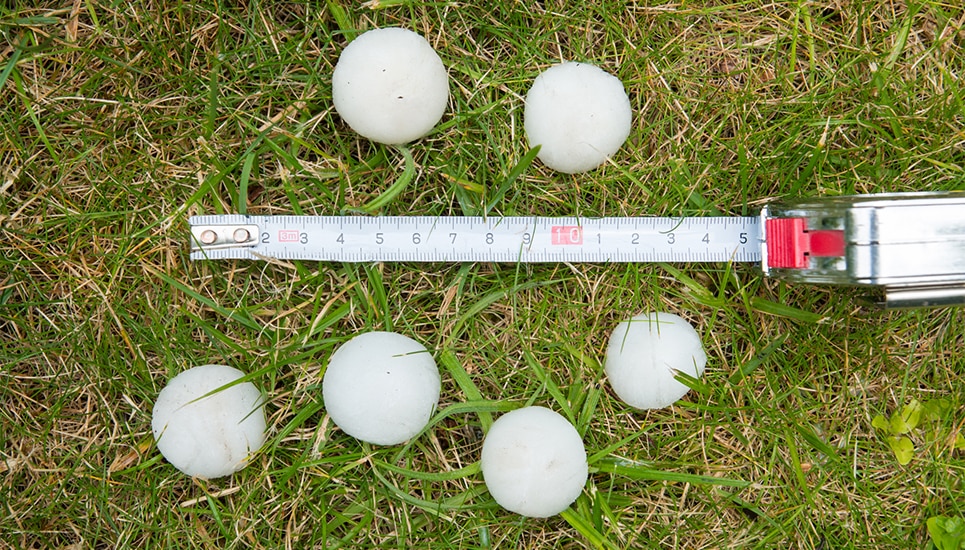 Golf balls on the lawn near a measurement ruler