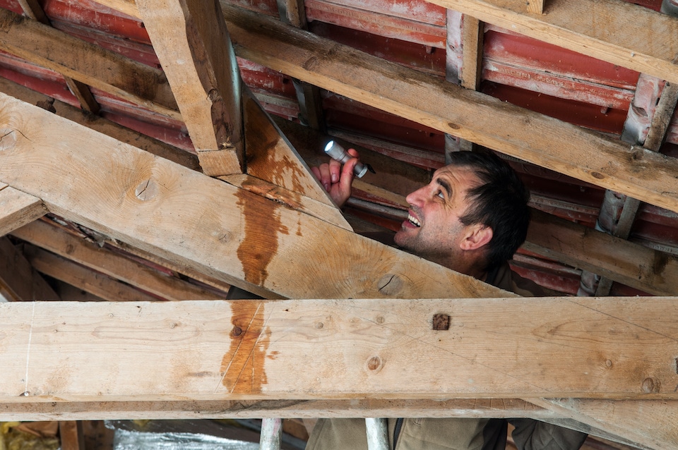 man with flashlight up in rafters of the attic doing a home roof inspection 