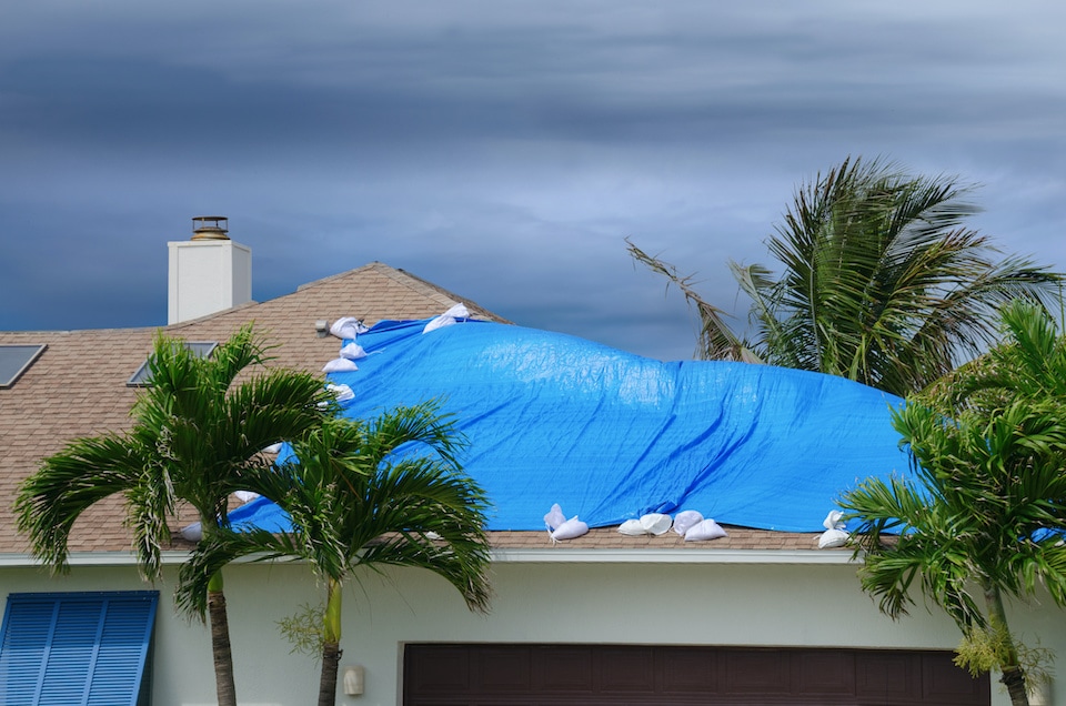 Storm damaged roof on house with a blue plastic tarp over hole in the shingles and rooftop; hail damage roof guide