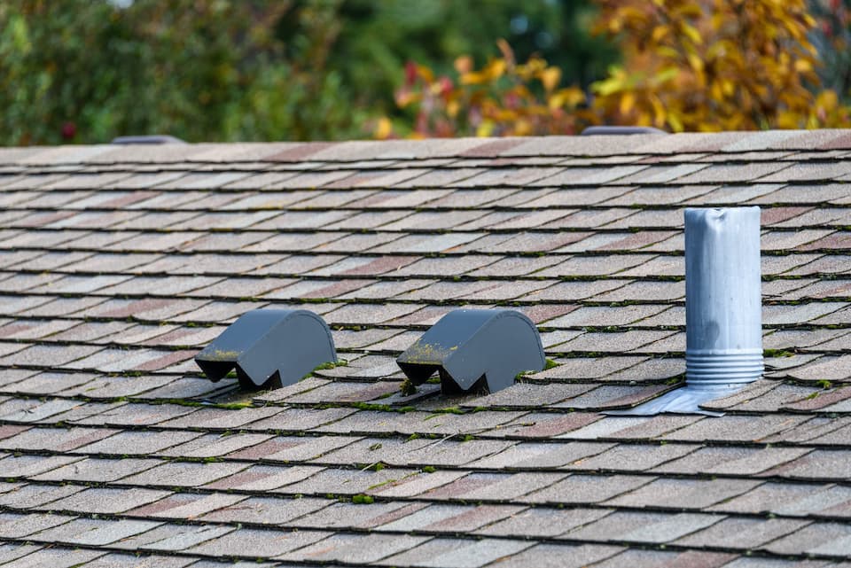 Suburban house rooftop, asphalt shingles, roof vents, fall color with magnolia tree behind the roof, sunny day; 8 valuable roof maintenance tips
