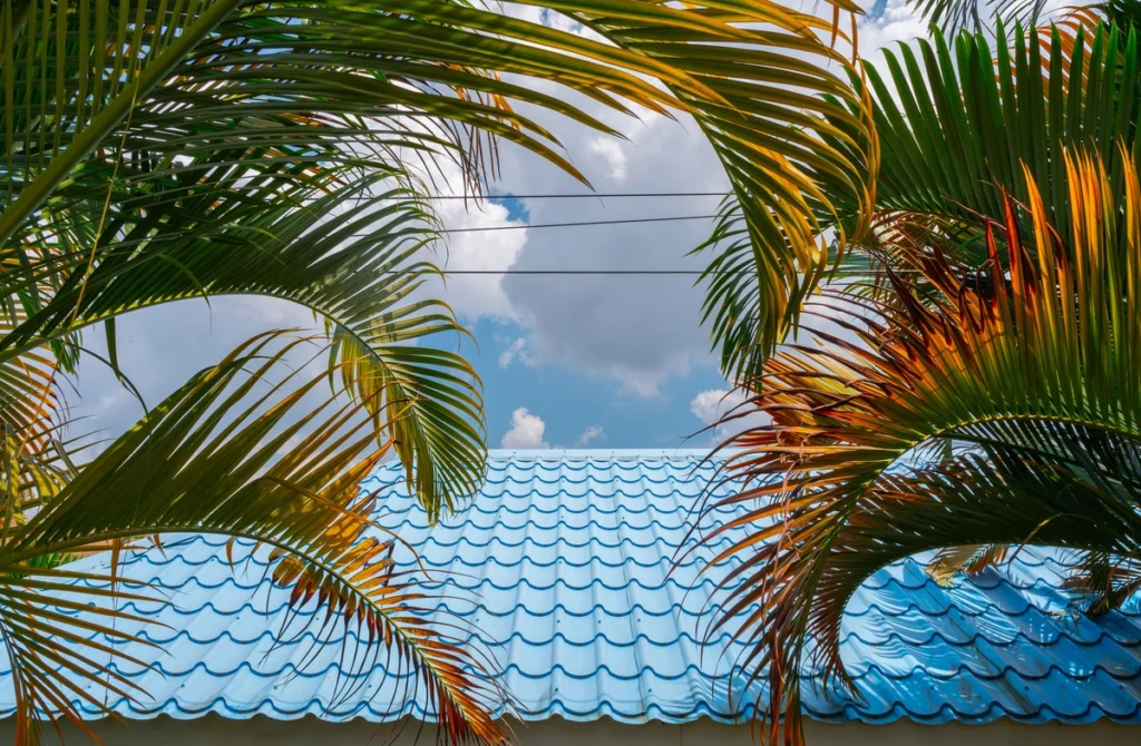 metal-roof-palm-trees
